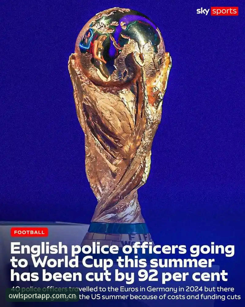世界杯安保策略深度评测：从英警员缩减看赛事组织新趋势