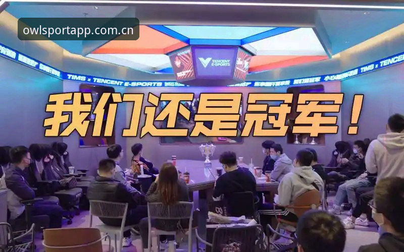 资深用户赵敏分享：猫头鹰体育平台提升观赛激情的实战经验